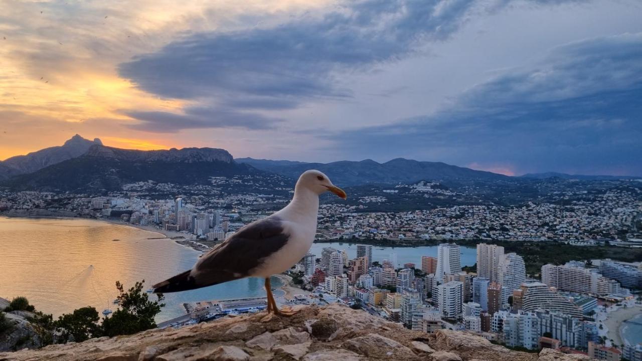 Apartament Damara Calpe Zewnętrze zdjęcie